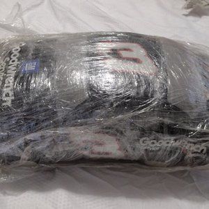 Dale Earnhardt Sr and Dale Earnhardt Jr Pillows